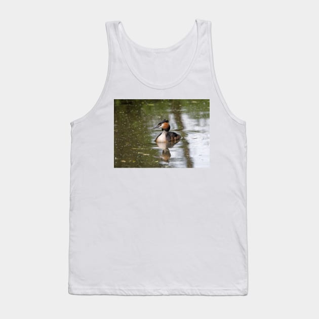 Great Crested Grebe Tank Top by Nigdaw